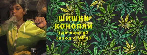 гидра Алексеевка